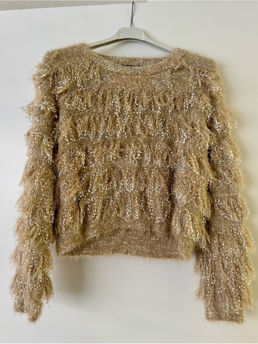 Beulah Style Metallic Fringe Sweater in Champagne/Gold